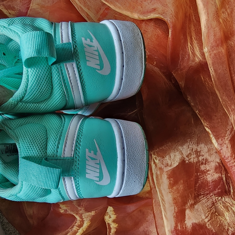 Nike Turquoise High-Top Sneakers